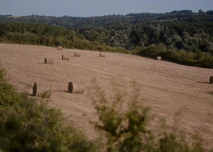 Avalska Bajka Beograd Seoska kuća *